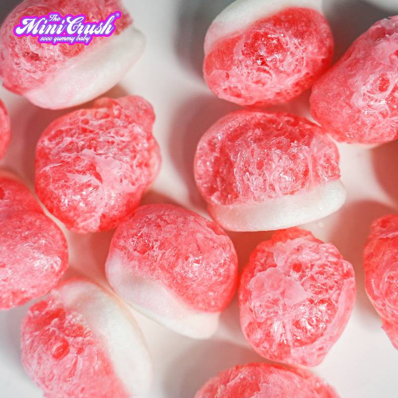 freeze dried skittles freeze dried skittles